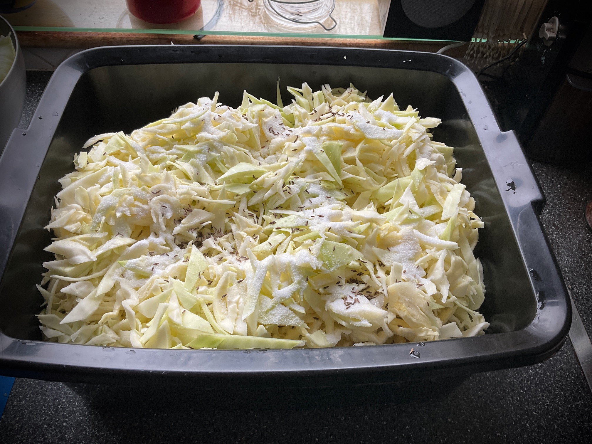 copped cabbage in a basin with salt and caraway