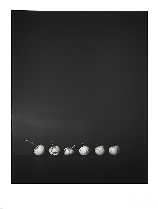 Six small deformed apples against black background.